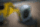 Wacker Neuson EZ36 Wacker Neuson EZ36